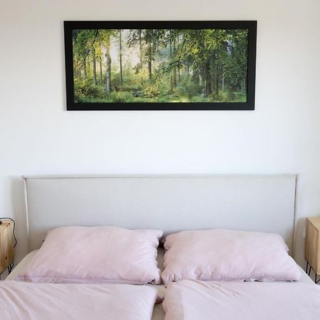 Apartman Na Kamenci Teplice nad Metují Exterior photo